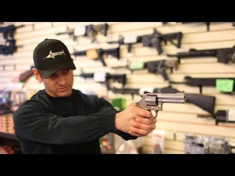 Propone PAN que ciudadanos puedan portar armas en automóviles y negocios