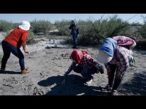 Aseguran que en Patrocinio ardían cuerpos a diario, pues es un 'campo de exterminio'