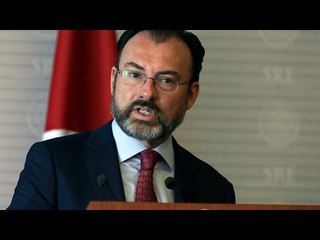 México no se moverá "un milímetro" en negativa sobre el muro dice Videgaray