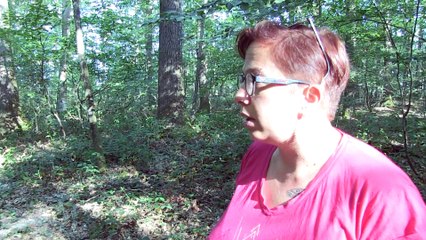 À la découverte de la Forêt de Lespinasse