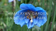 Himalayan Garden and Sculpture Park is hidden gem in Yorkshire Dales
