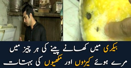 Dead pests were found from bakery items