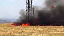 Siirt'te 2 ayrı tarlada çıkan yangında 100 dönüm arazi alev alev böyle yandı