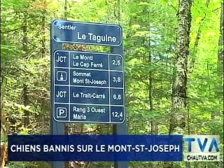 TVA Nouvelles 12h CHAU 05 juillet 2019