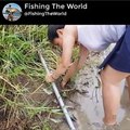 Khmer woman Find Crab and fish at Battabang province in Cambodia