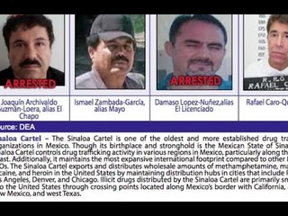 Con detención del Chapo, Caro Quintero pudo haberse empoderado: Karina  Méndez