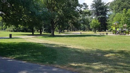 2 voitures_circulent dans le parc des Champs-Elysées