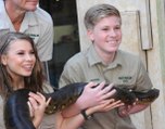 Steve Irwin's Son Robert Pays Tribute With Crocodile-Feeding Photo