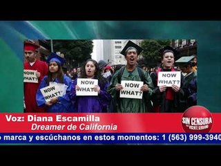 Queremos un ‘Dream act’ limpio dentro del presupuesto para el viernes: Diana Escamilla, dreamer