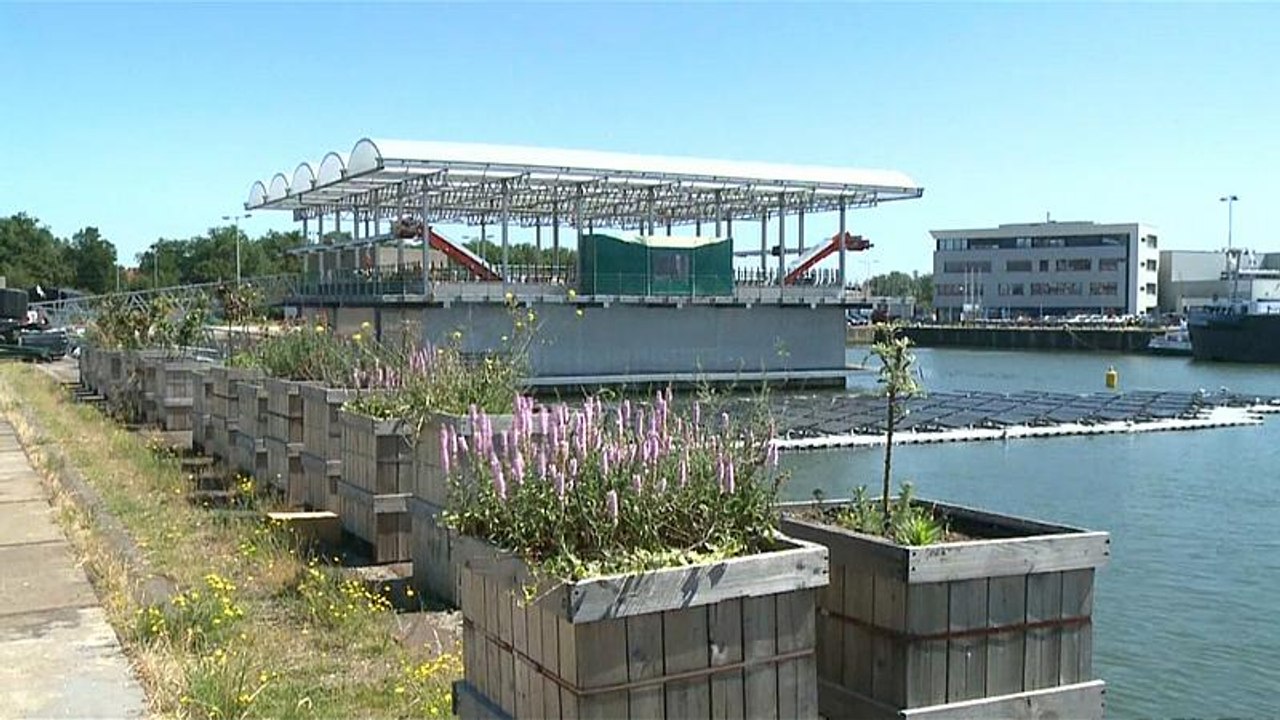Watch: World's first floating farm in operation...