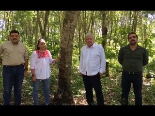 LÓPEZ OBRADOR DESDE LA SELVA CON BUENAS NOTICIAS