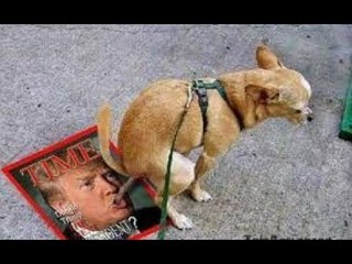 TRUMP PADRE ACEPTA QUE MINTIÓ Y TRUMP HIJO ESTARÍA EN PROBLEMAS POR REUNIRSE CON LOS RUSOS