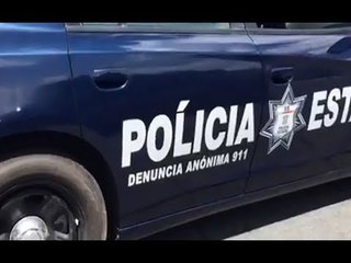 LOS DEL PRI NO SABEN “LER” NI “ESCREBIR”. LE PUSIERON ACENTO HASTA A LA “L” EN LAS PATRULLAS