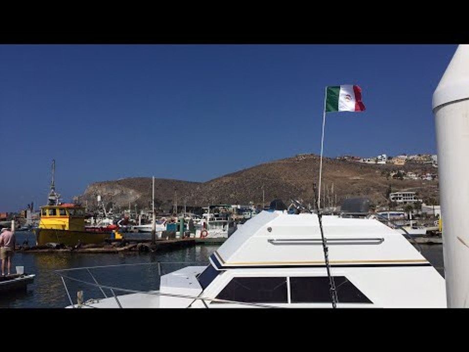 Las Focas/Seals