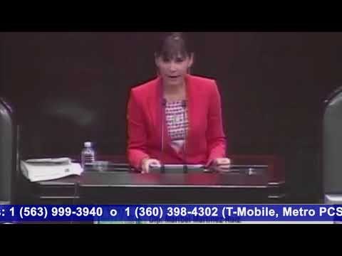 ¿SE IMAGINA DIPUTADOS Y SENADORES MIGRANTES? PODRÍA SER UNA REALIDAD GRACIAS A DIPUTADOS/AS DEL PT