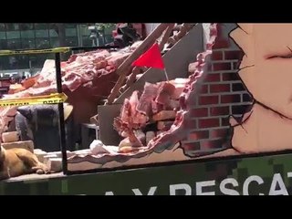 VEA USTED Y JUZGUE LA IDEOTA DEL EJÉRCITO Y LA MANO CON SANGRE