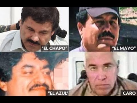 ¿QUIÉN ES EL LÍDER DEL CÁRTEL DE SINALOA? EL CHAPO DICE QUE EL MAYO ¿Y QUÉ TAL SI ES CARO QUINTERO?