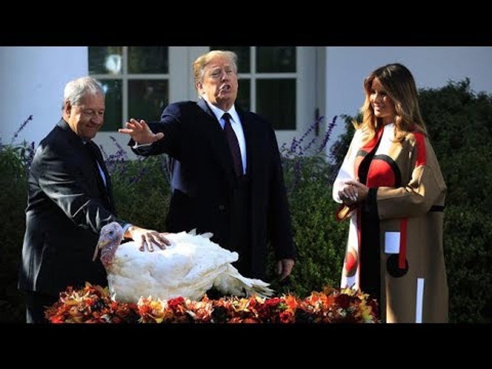 TRUMP Y SUS GUAJOLOTES. EN MÉXICO EXIGEN QUE RESPETE A MIGRANTES. MORENA CON INICIATIVA ANTI TRUMP