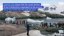 Sea Ice in Antarctica Experiences Rapid Plunge
