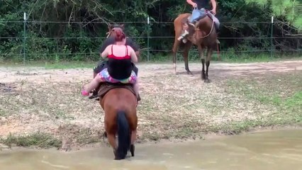 Un cheval bien trop chargé se venge bien comme il faut...