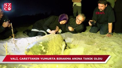 Vali Karaloğlu, carettanın yumurta bırakma anına tanık oldu