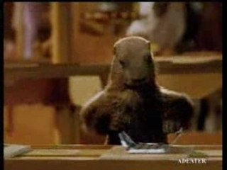 Pub milka - la marmotte