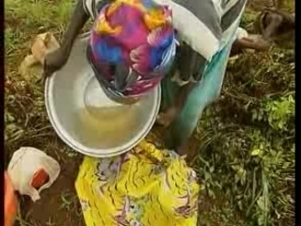 Mondialisation, Quand Le Fmi Fabrique La Misère 1/3