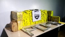 Moradores de Cascavel são detidos pela Denarc transportando 283 kg de maconha