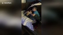 Heartwarming moment young boy comforts scared dog during fireworks