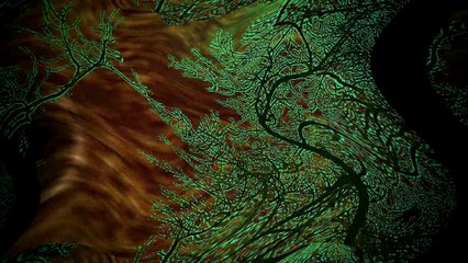 Gray Stuff Peppers Episode 11 ABC Brownies Squash