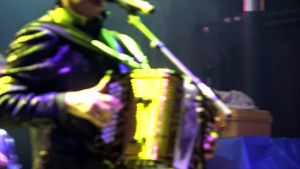 JAULA DE ORO LOS TIGRES