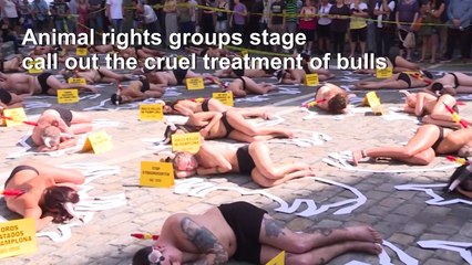 Animal welfare activists protest against bullfighting in Pamplona