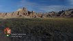 Badlands Park Rangers Spot Something Surprising On Trail Camera