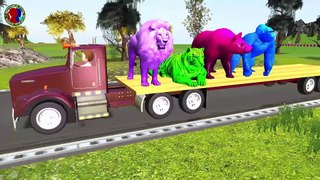 Learn Animals Colors For Childrens || Animals Names And Sounds ||lion tiger gorilla wolf bear panda