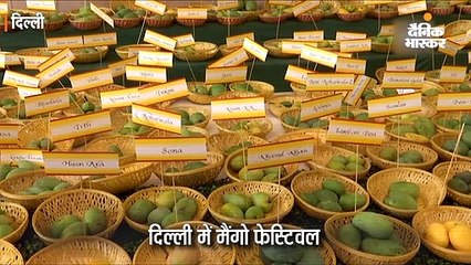 आमों की 500 से अधिक किस्में प्रदर्शित