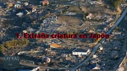 5 seres extraños captados en camara