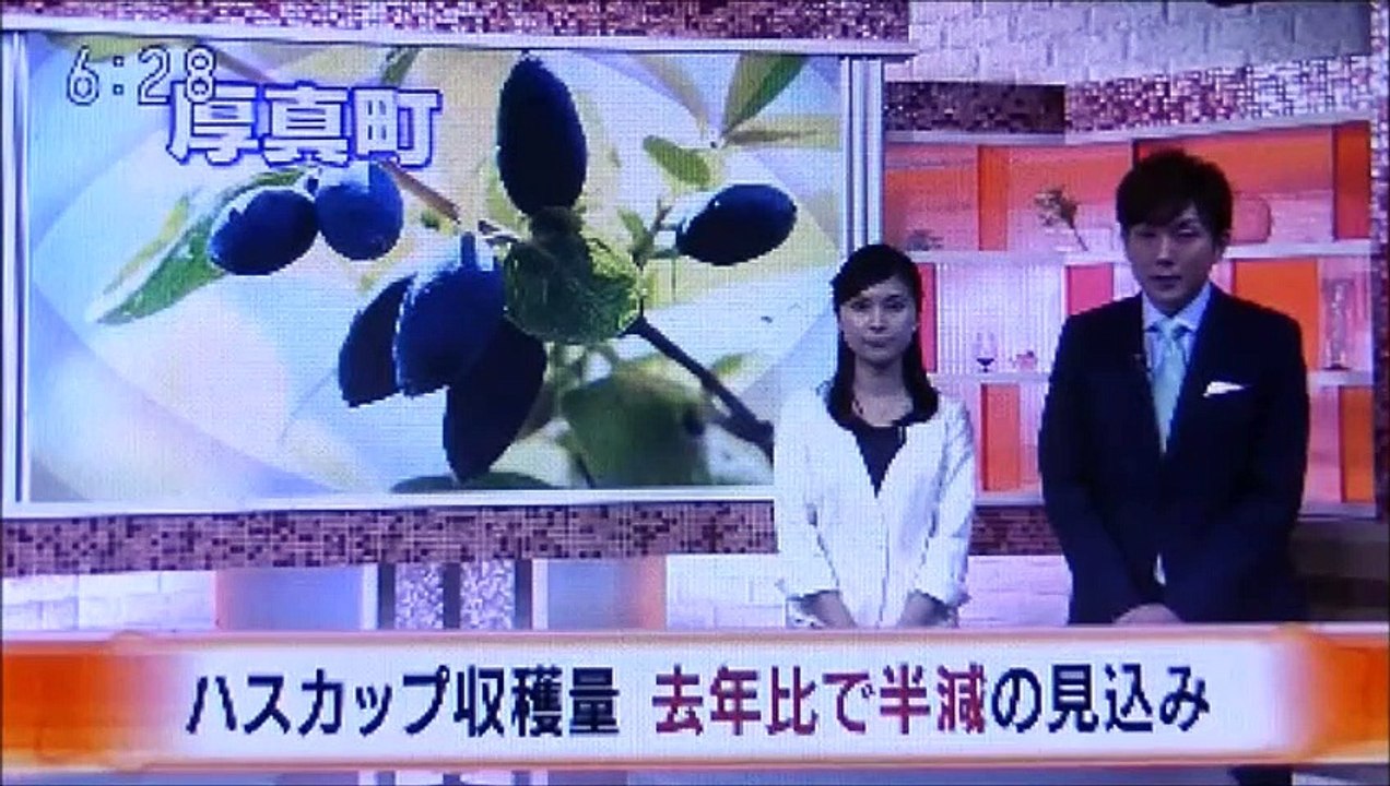 2019 06 25　NHK ほっとニュースアイヌモシリ　【 神聖なる アイヌモシリからの 自由と真実の声 】