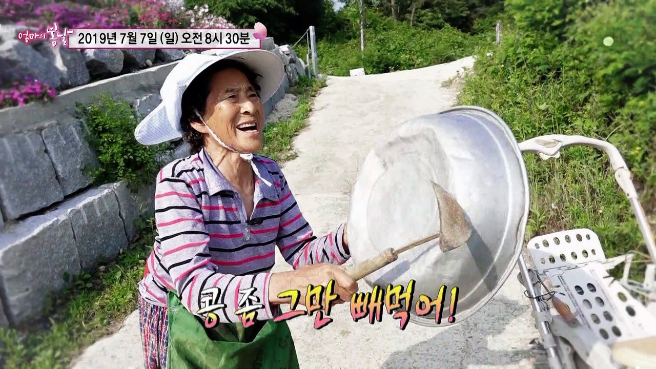 토끼 엄마와 거북 남편_엄마의 봄날 199회 예고