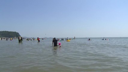 피서객 몰린 대천해수욕장 '후끈후끈' / YTN