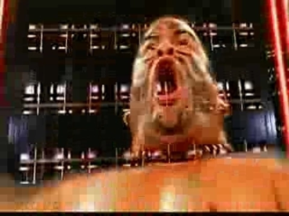 New Raw HD INTRO