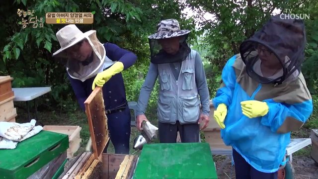 꿀 따러 가세~♬ 벌은 ‘이것’에 따라 성별 결정?