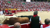 Entrada de los toros a la plaza tras el primer  encierro