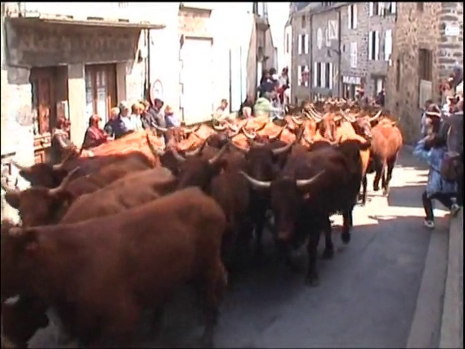 Fête de l'Estive - Allanches - Cantal