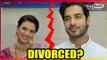 Gathbandhan: Raghu and Dhanak to get divorced?