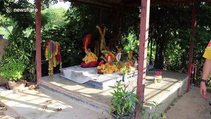 10-Foot Python Rescued After Slithering Into Washing Machine in Thailand 🐍