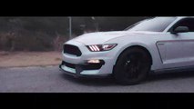 2019 PROCHARGED SHELBY GT350 (4K)