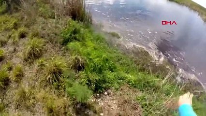 DHA DIŞ - Avladığı balığı alırken az kalsın timsaha yem oluyordu