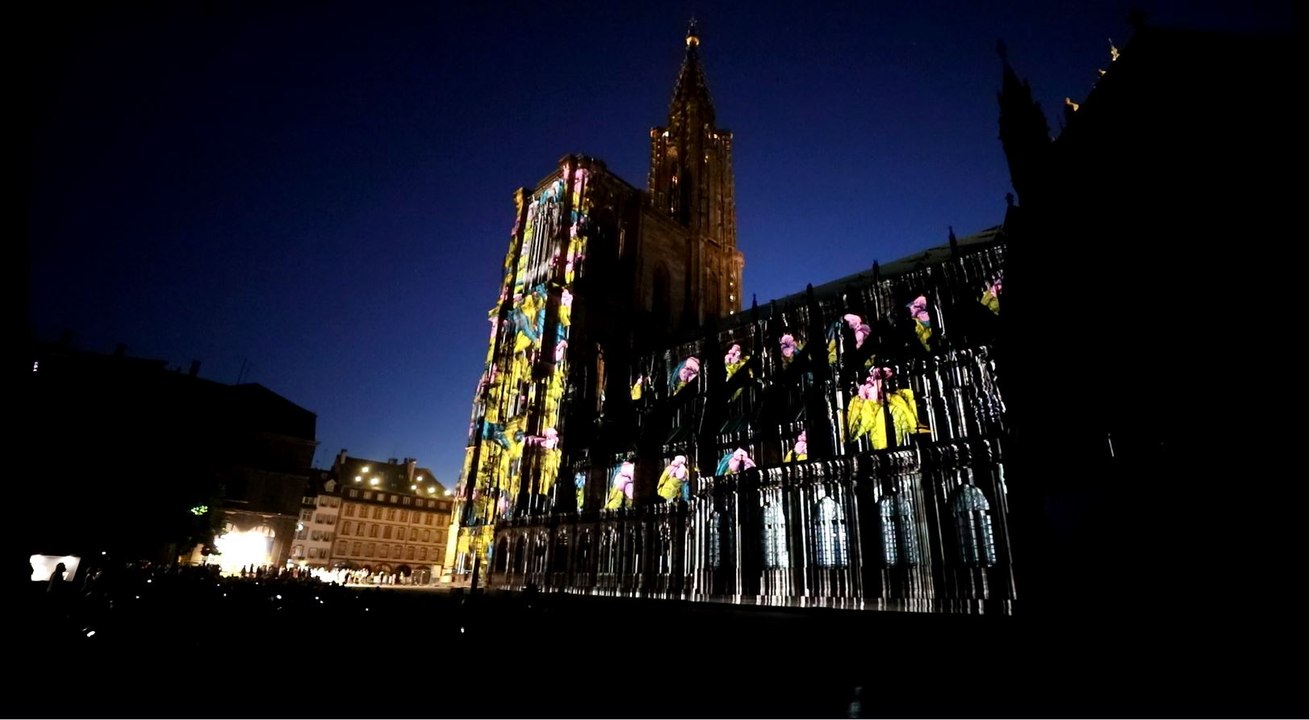 Hortus avant première du spectacle d'été 2019 à Strasbourg