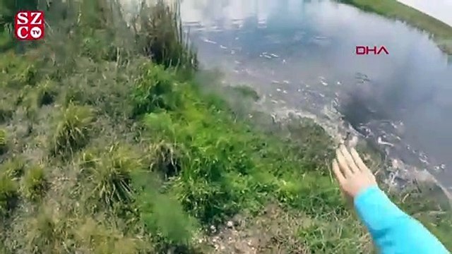 Avladığı balığı alırken az kalsın timsaha yem oluyordu