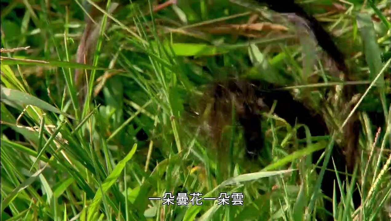 蘭陵王 27 - Lan Ling King 27（馮紹峰、林依晨、陳曉東等主演）